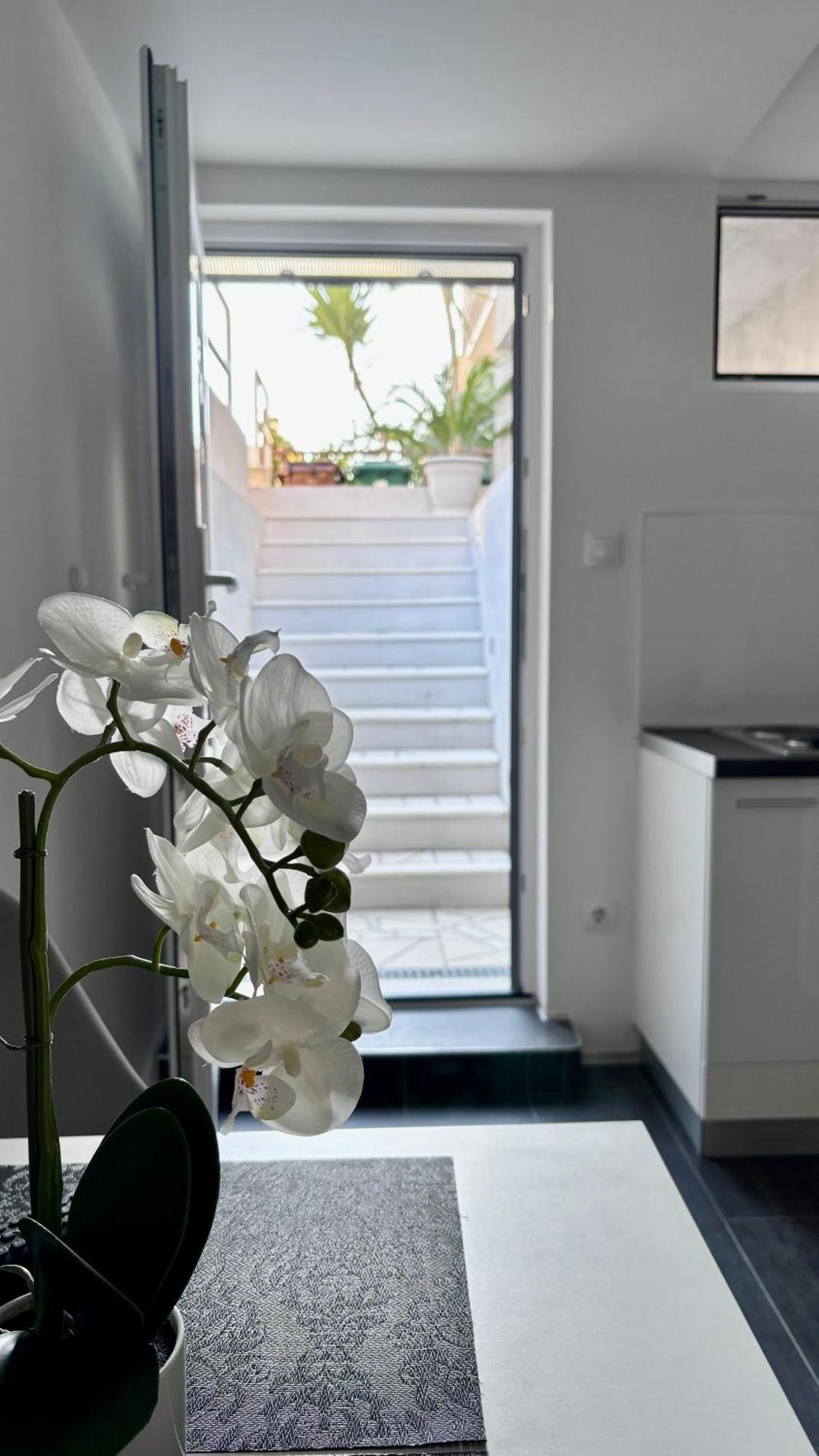 Apartman Branka *** Split Exteriör bild